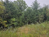 12005 NE County Road 8003 N/A, Adrian, MO 64720