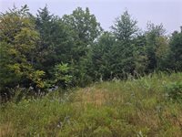 12005 NE County Road 8003 N/A, Adrian, MO 64720