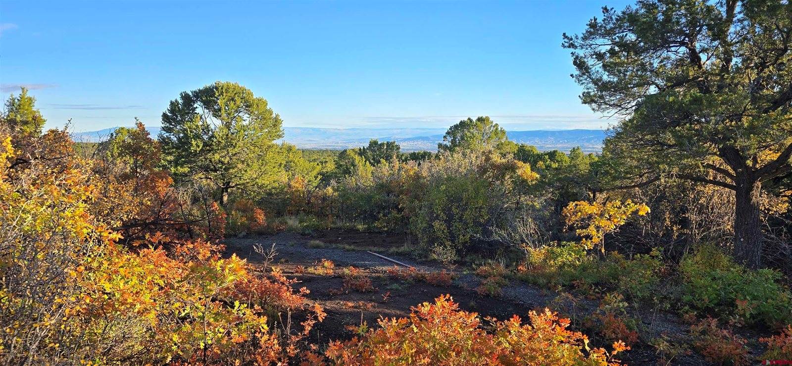 1910 Bible Camp Road, Montrose, CO 81427