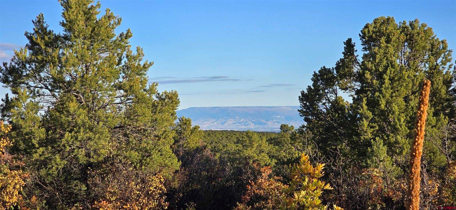 1910 Bible Camp Road, Montrose, CO 81427