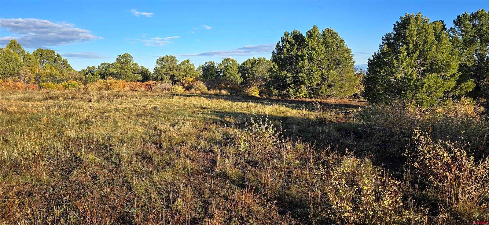 1910 Bible Camp Road, Montrose, CO 81427