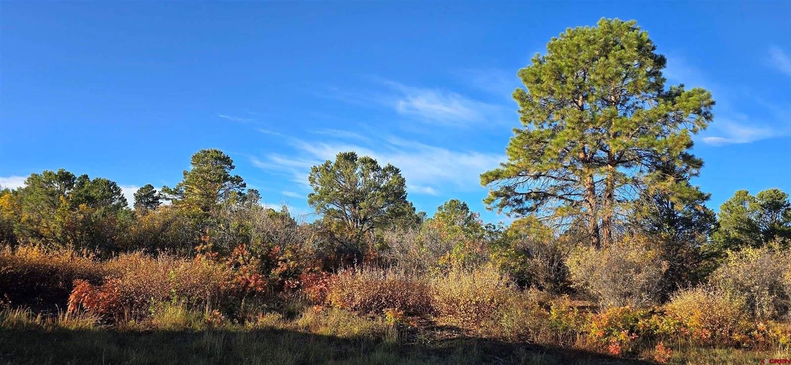 1910 Bible Camp Road, Montrose, CO 81427