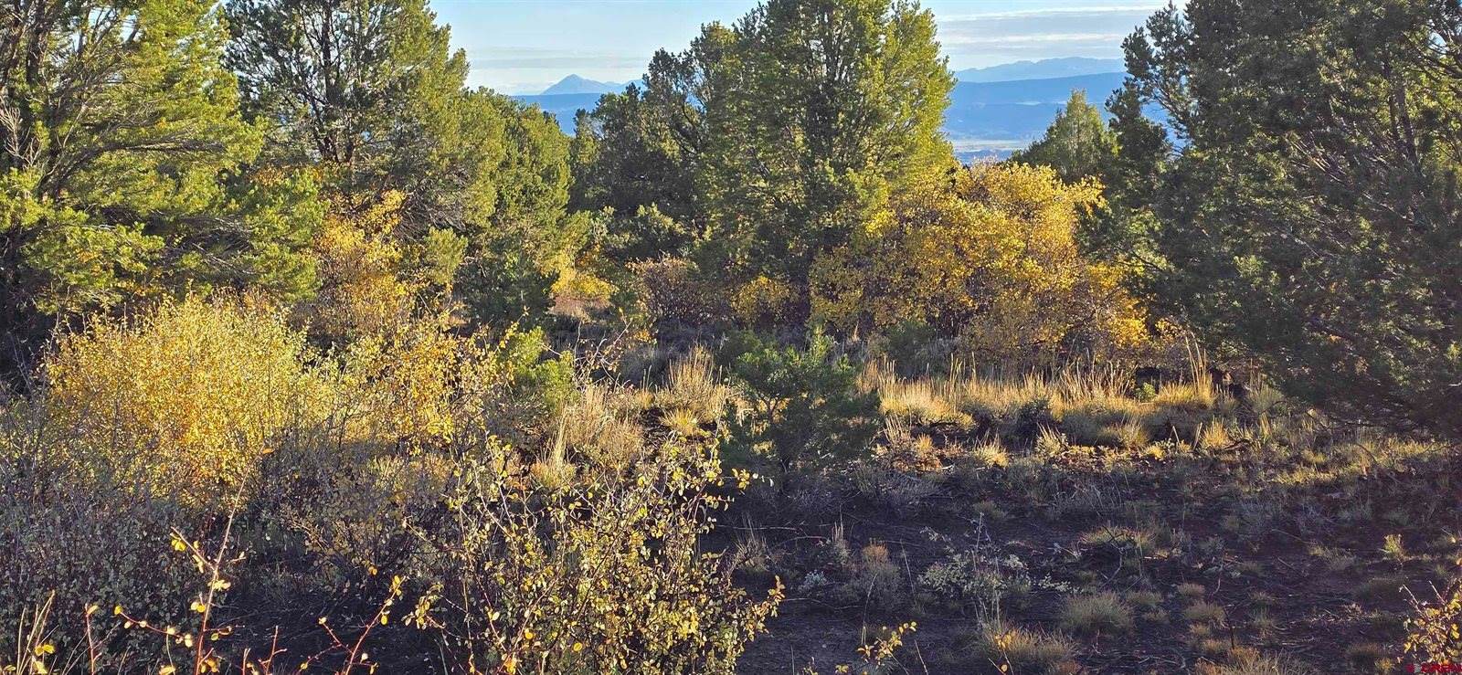 1910 Bible Camp Road, Montrose, CO 81427