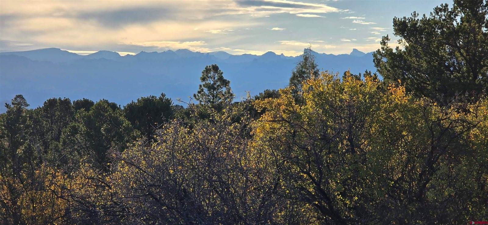 1910 Bible Camp Road, Montrose, CO 81427