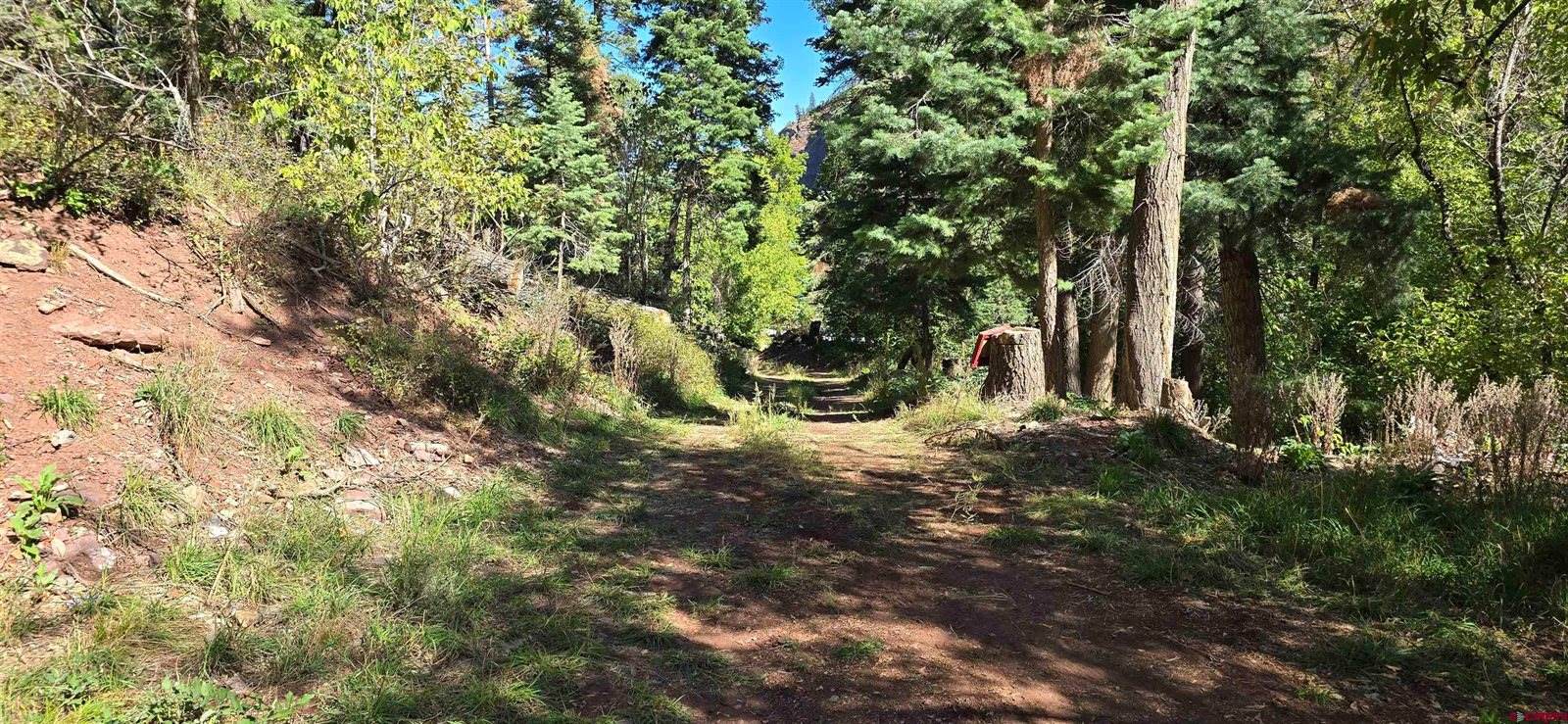 tbd Oak Street, Ouray, CO 81427