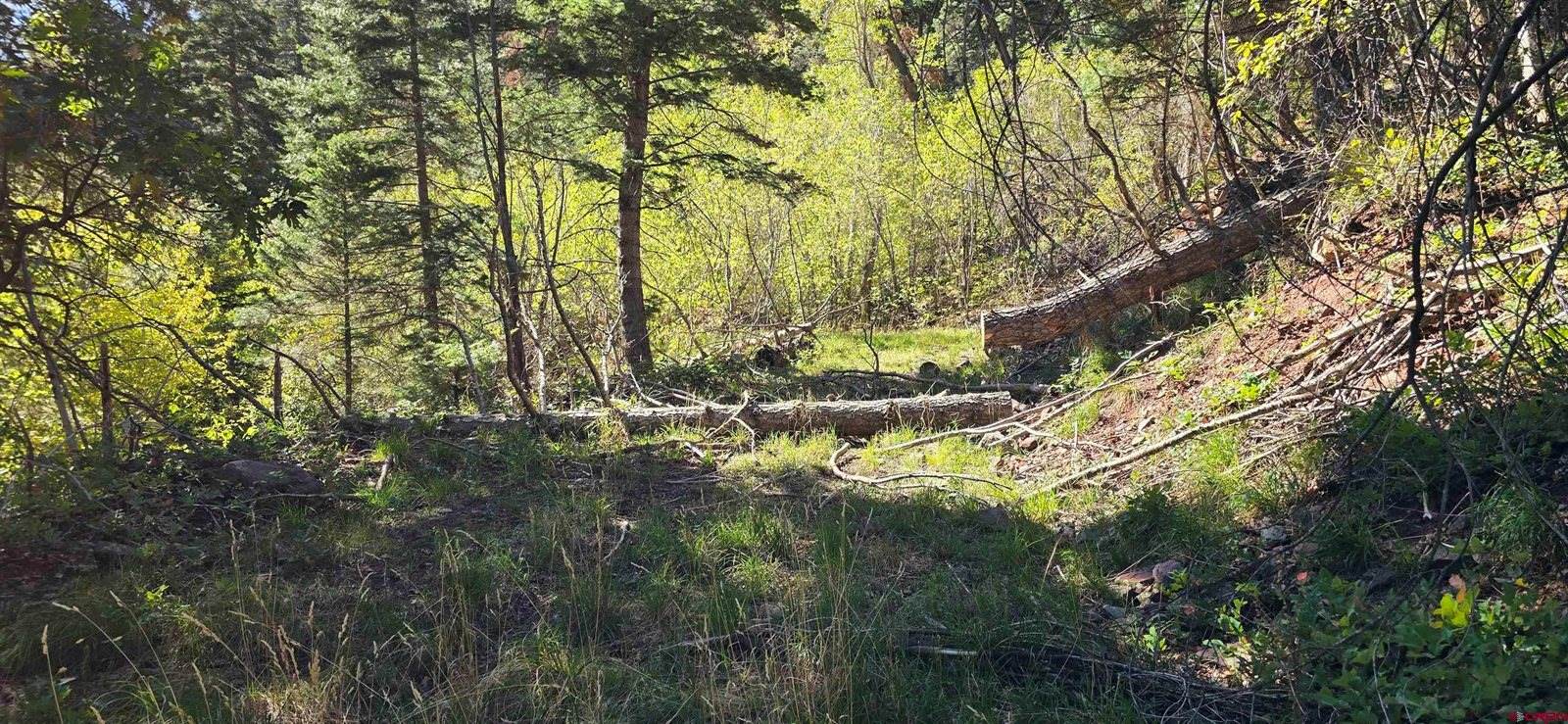 tbd Oak Street, Ouray, CO 81427