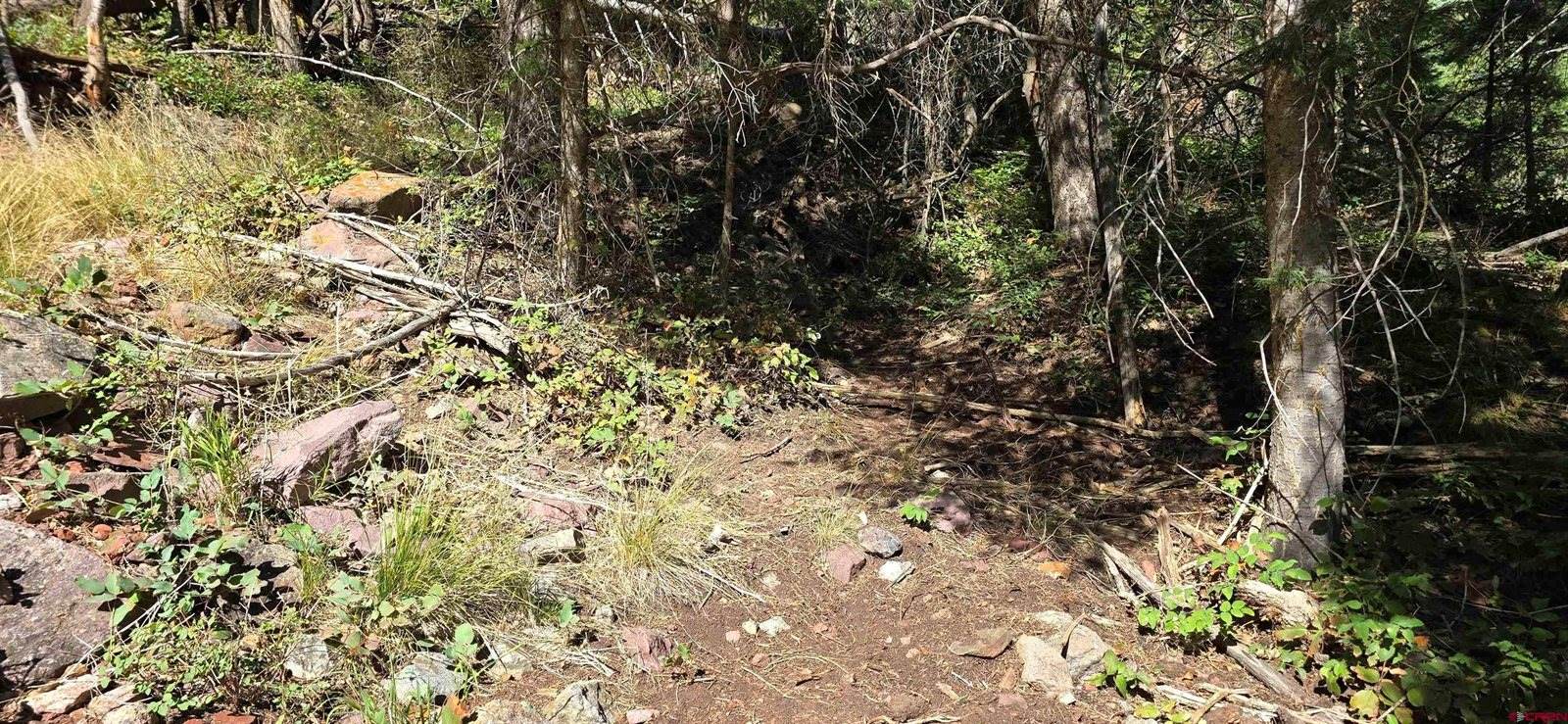 tbd Oak Street, Ouray, CO 81427