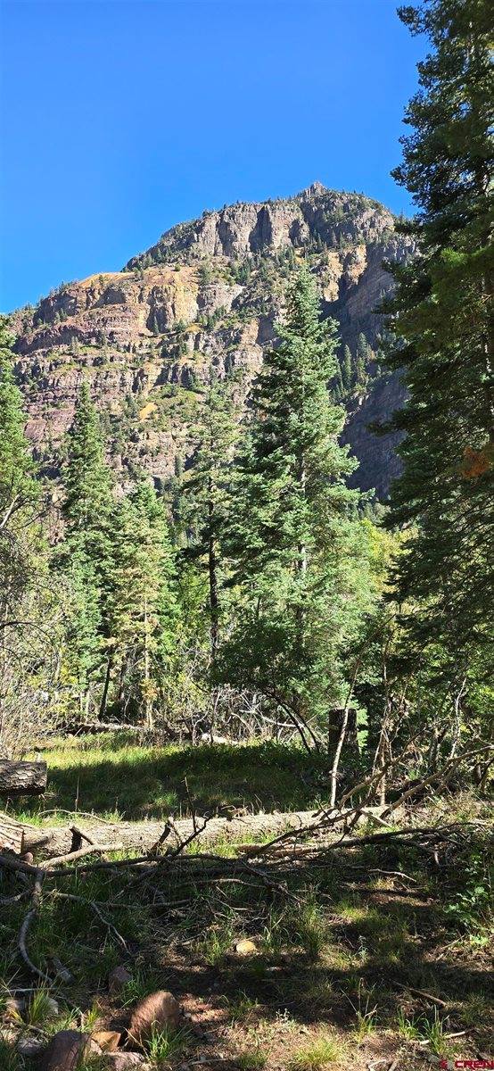 tbd Oak Street, Ouray, CO 81427