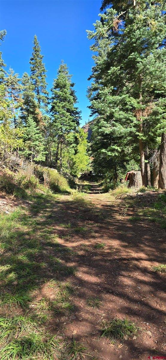 tbd Oak Street, Ouray, CO 81427