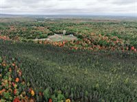 56 Royal Ridge Road, Holden, ME 04429