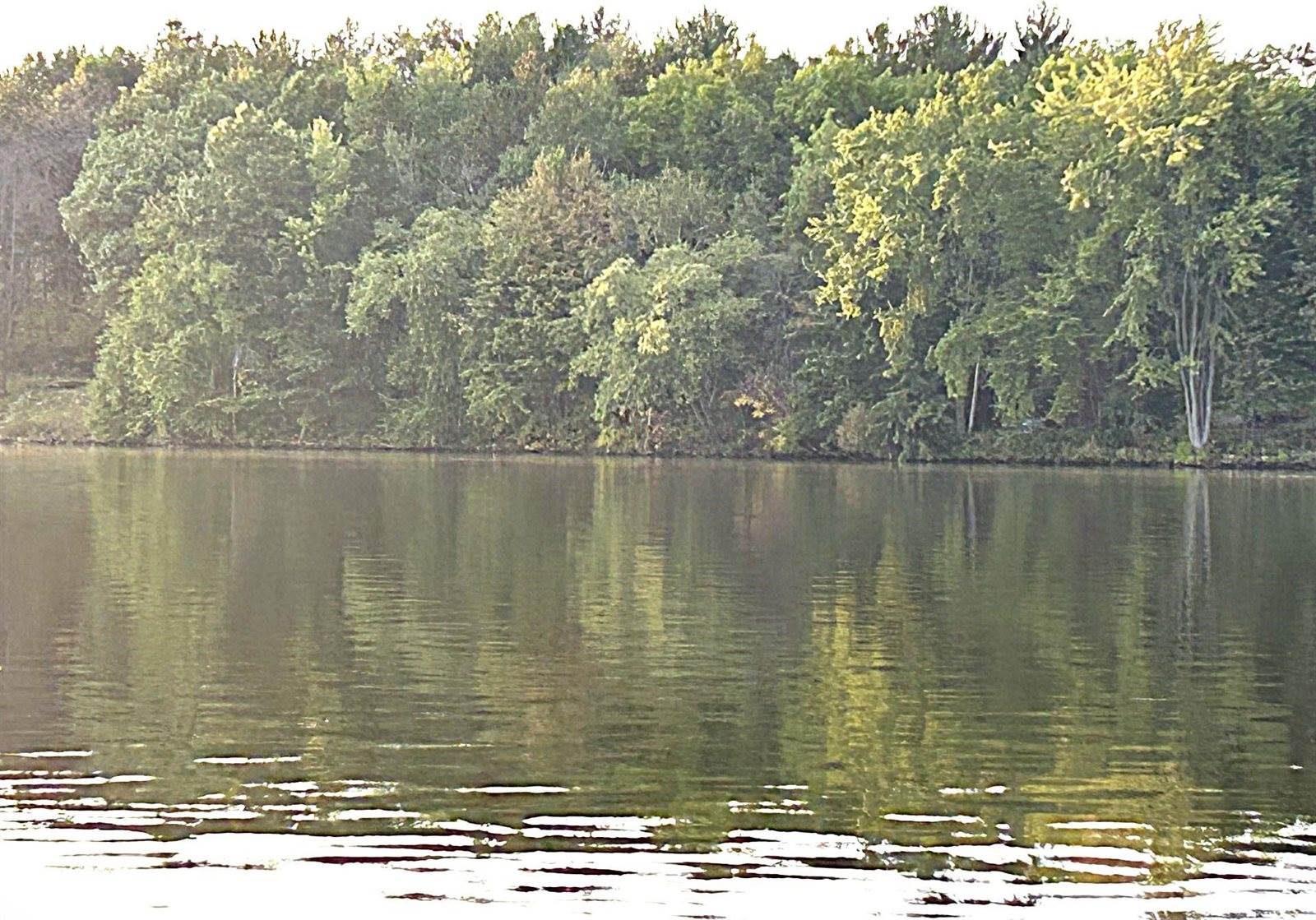 2.81 Acres RIVER ROAD EAST, Rudolph, WI 54475