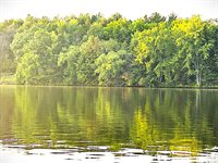 2.81 Acres RIVER ROAD EAST, Rudolph, WI 54475