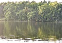 2.81 Acres RIVER ROAD EAST, Rudolph, WI 54475