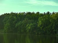 2.81 Acres RIVER ROAD EAST, Rudolph, WI 54475