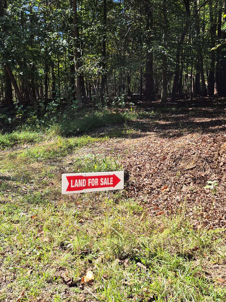 Isle of Pines, Moneta, VA 24121