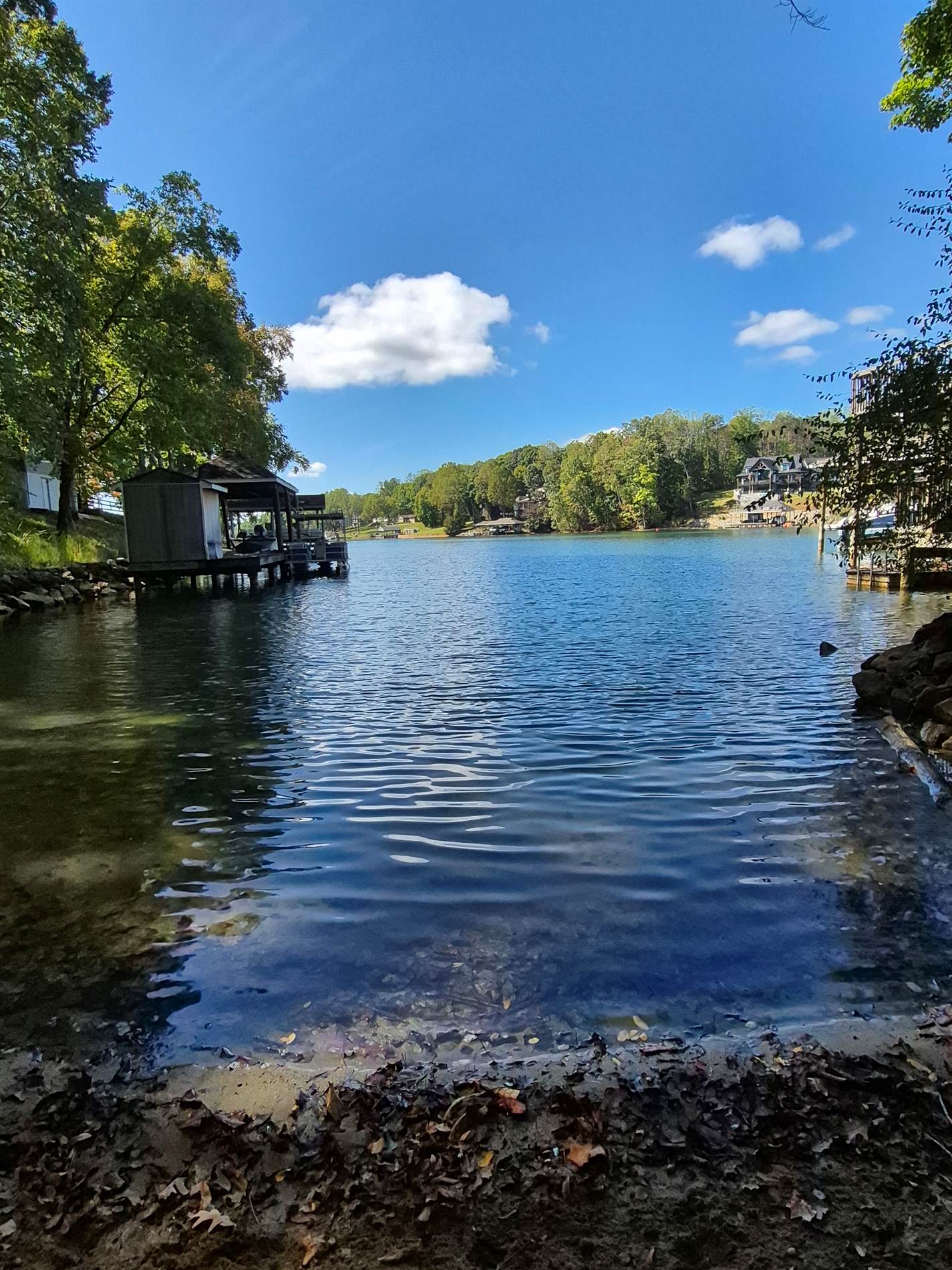 Isle of Pines, Moneta, VA 24121