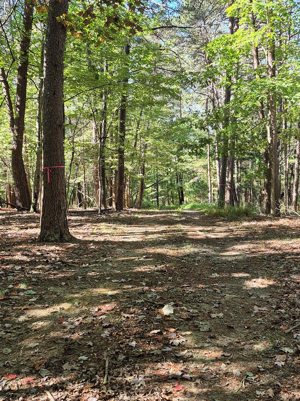 Isle of Pines, Moneta, VA 24121