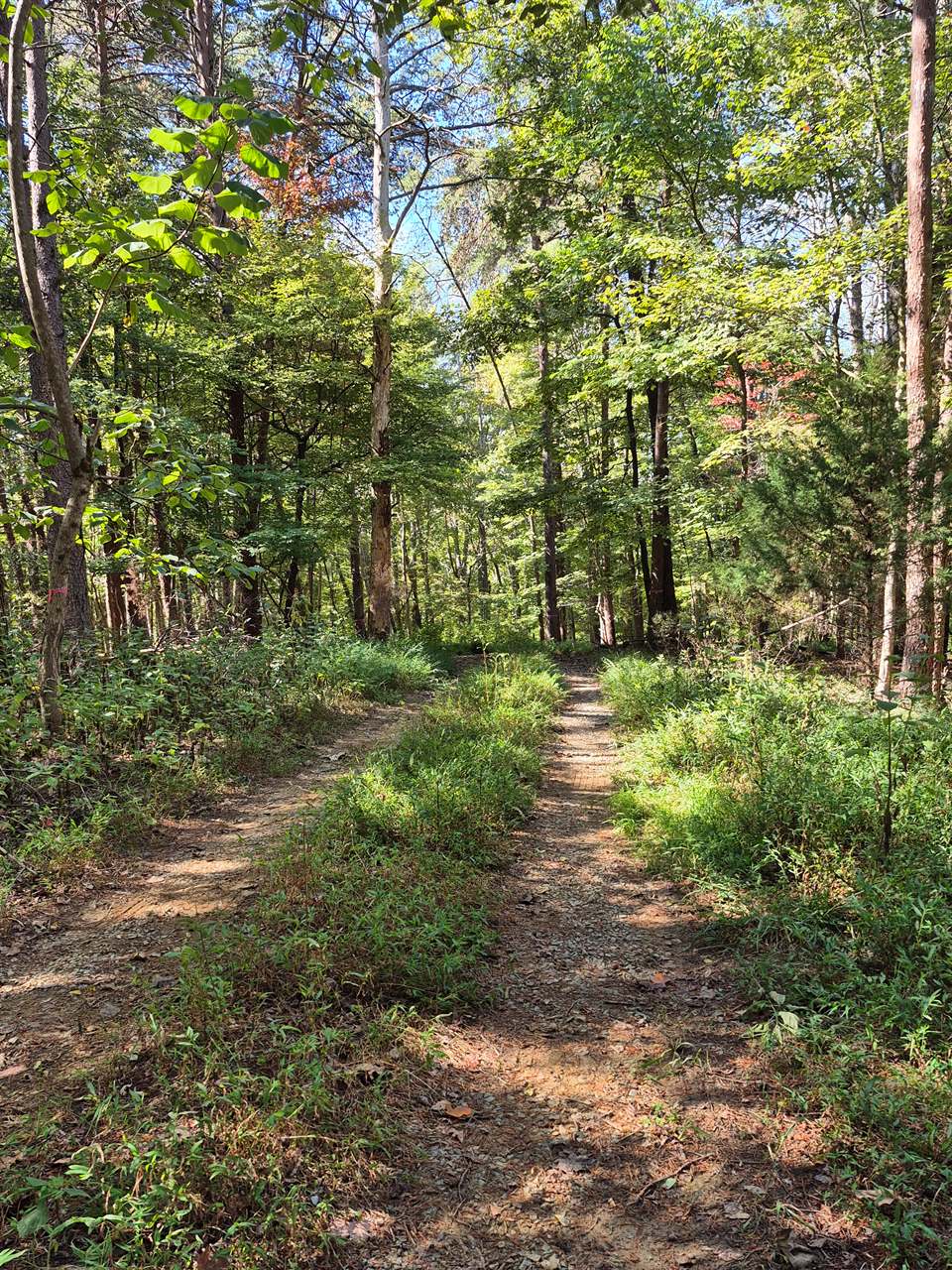 Isle of Pines, Moneta, VA 24121