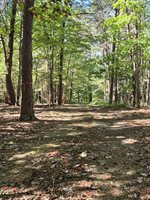 Isle of Pines, Moneta, VA 24121