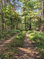 Isle of Pines, Moneta, VA 24121