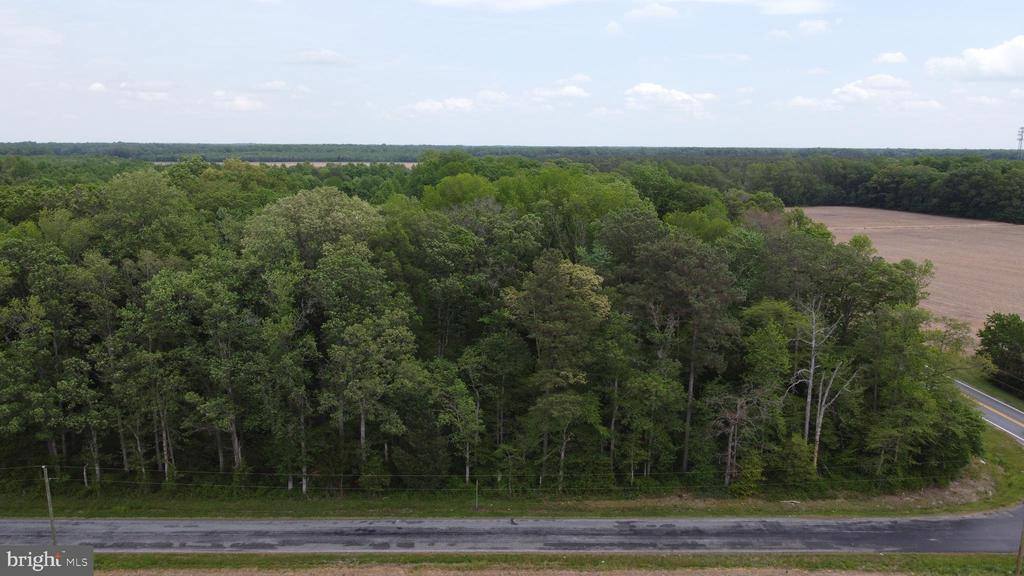 Lot 1 Cedar Grove Church Road, Felton, DE 19943