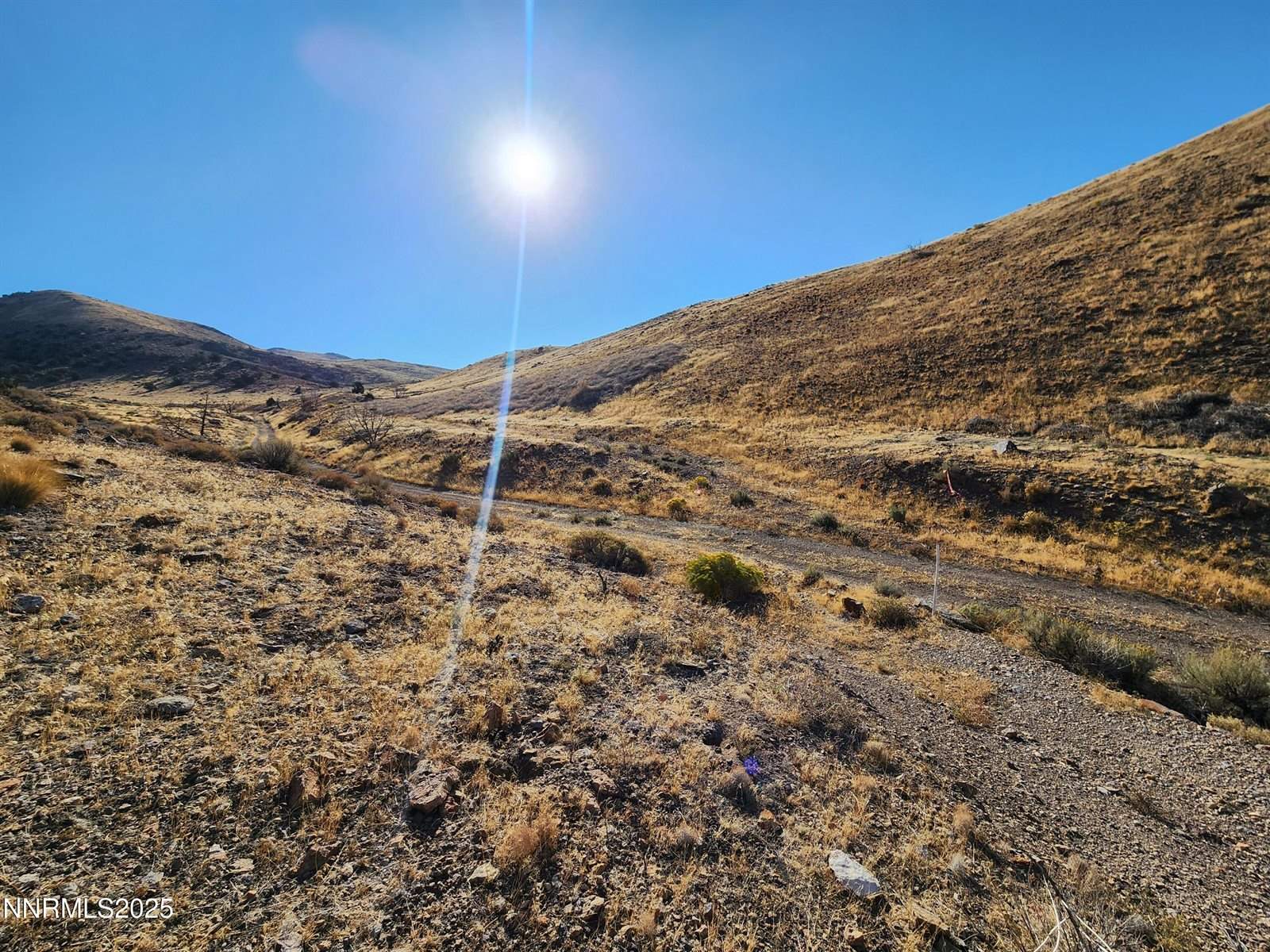 105 Stirrup Drive, Reno, NV 89510