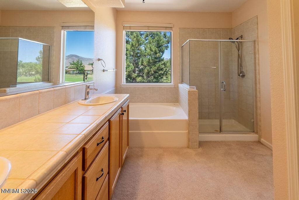 932 Lakeview Drive, Dayton, NV 89403