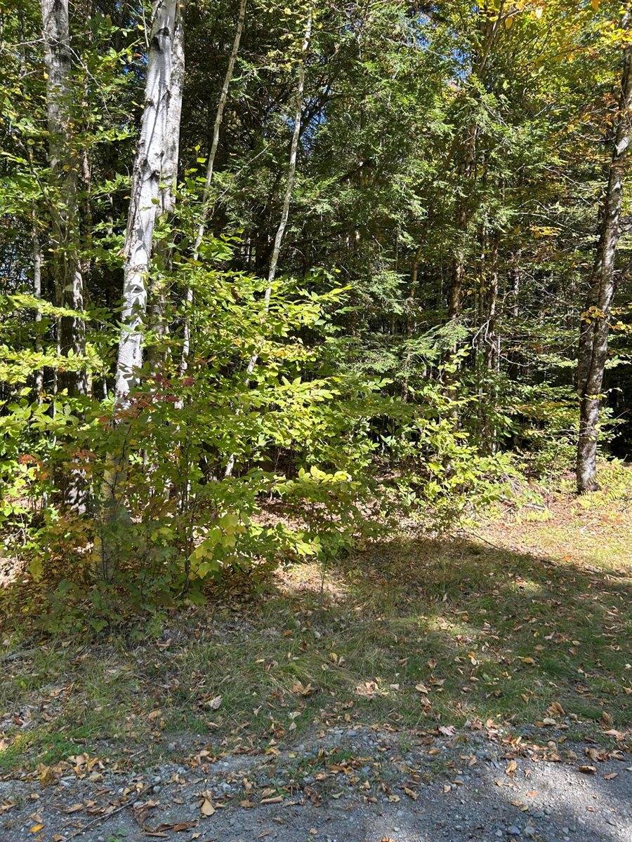 M6L16-12-3 Beaverbrook Road, Bowerbank, ME 04426