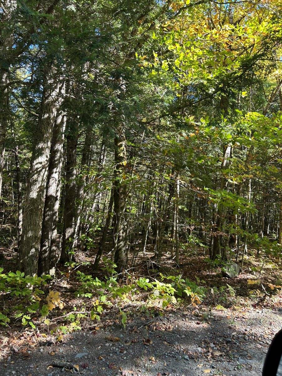 M6L16-12-3 Beaverbrook Road, Bowerbank, ME 04426