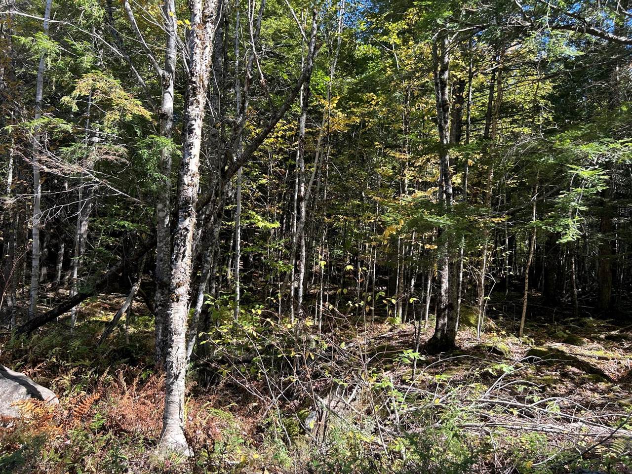 M6L16-12-3 Beaverbrook Road, Bowerbank, ME 04426