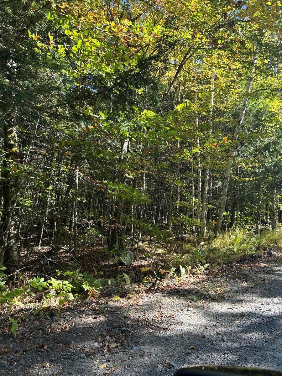 M6L16-12-3 Beaverbrook Road, Bowerbank, ME 04426