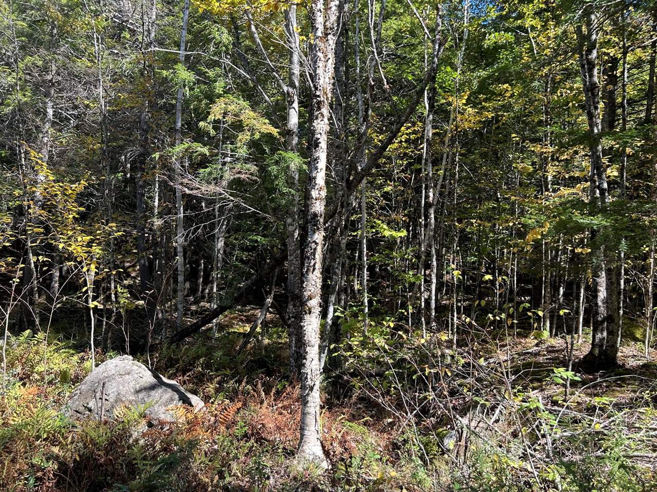 M6L16-12-3 Beaverbrook Road, Bowerbank, ME 04426