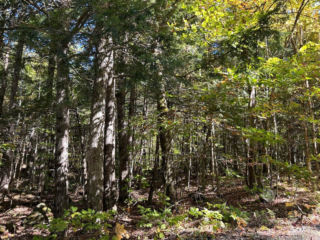 M6L16-12-3 Beaverbrook Road, Bowerbank, ME 04426