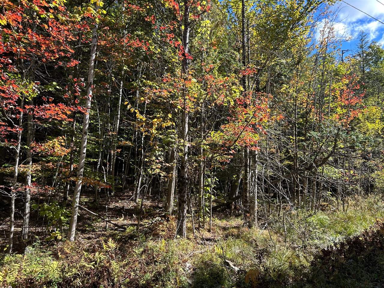 M6L16-12-3 Beaverbrook Road, Bowerbank, ME 04426