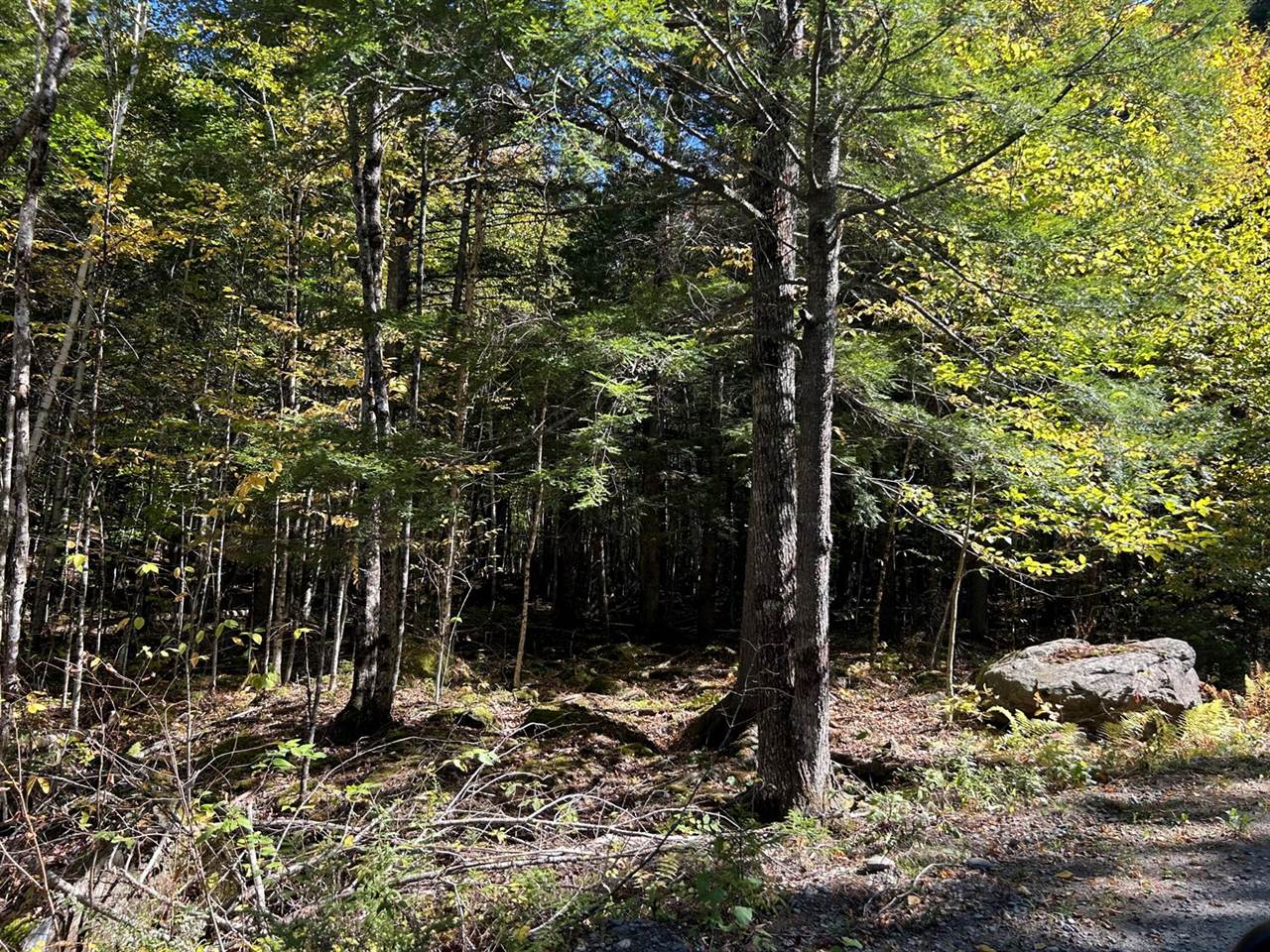 M6L16-12-3 Beaverbrook Road, Bowerbank, ME 04426