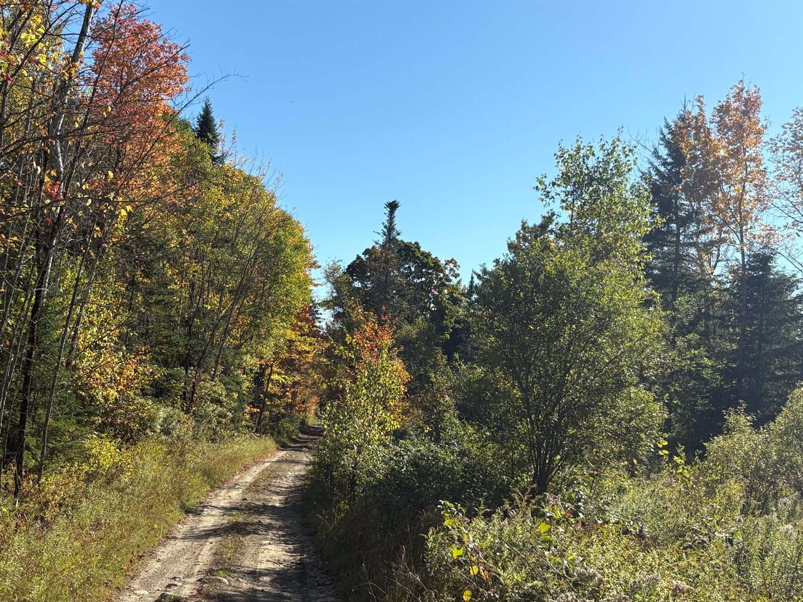 Map1Lot1 Rutland Road, Plymouth, ME 04969