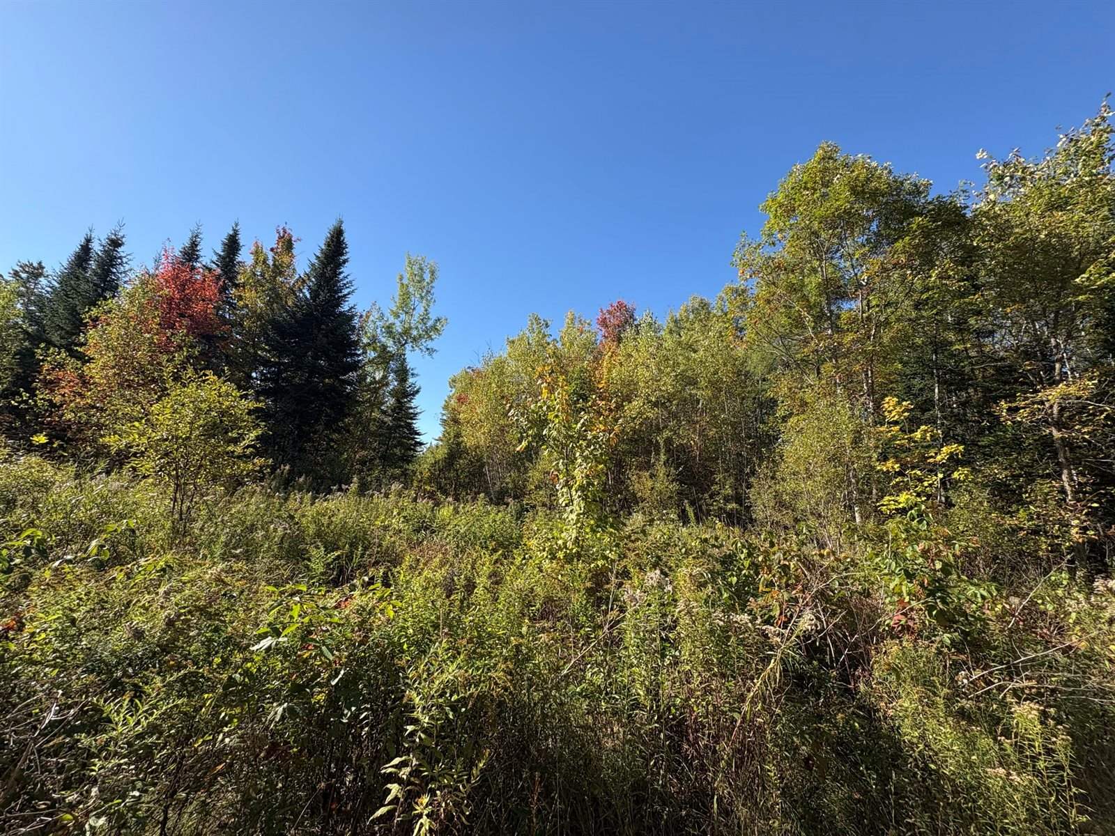 Map1Lot1 Rutland Road, Plymouth, ME 04969