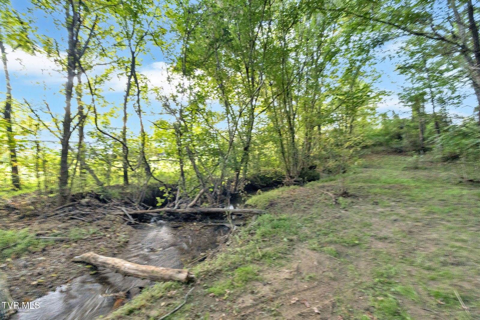 222 Roy Martin Road, Gray, TN 37615