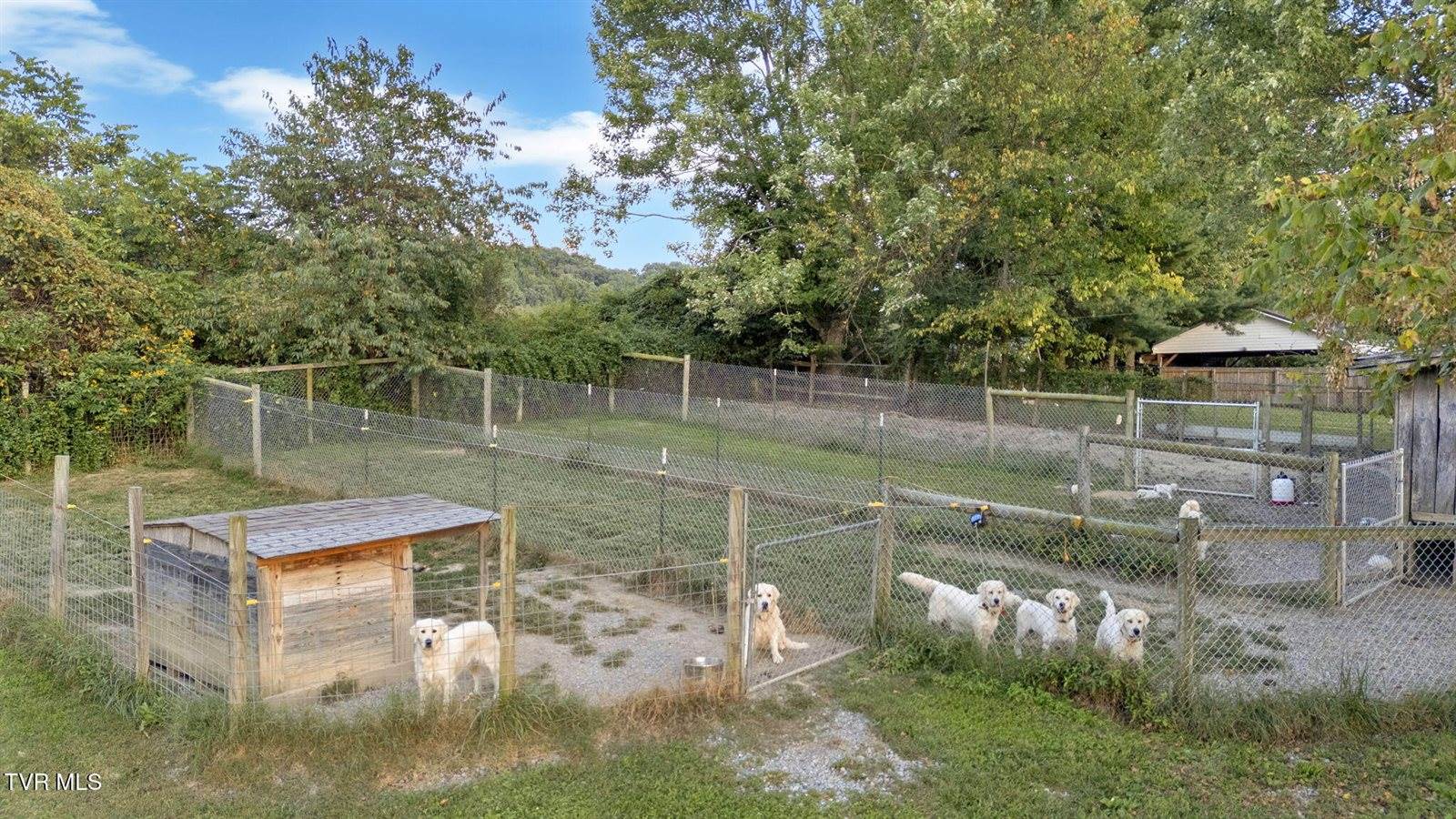 222 Roy Martin Road, Gray, TN 37615