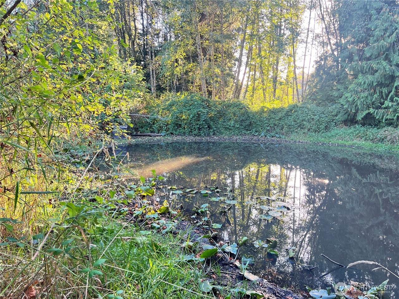 0 Wood Road, Bow, WA 98232