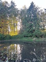 0 Wood Road, Bow, WA 98232