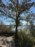 2247 Deep Portage Drive NW, Ponto Lake Township, MN 56435