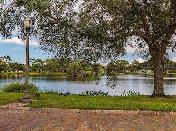 6449 Dartmouth Ave N Avenue North, Saint Petersburg, FL 33710