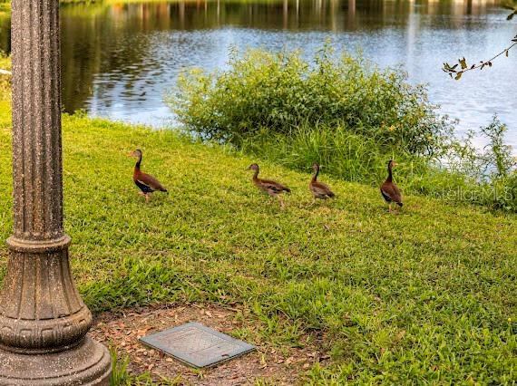 6449 Dartmouth Ave N Avenue North, Saint Petersburg, FL 33710