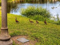 6449 Dartmouth Ave N Avenue North, Saint Petersburg, FL 33710