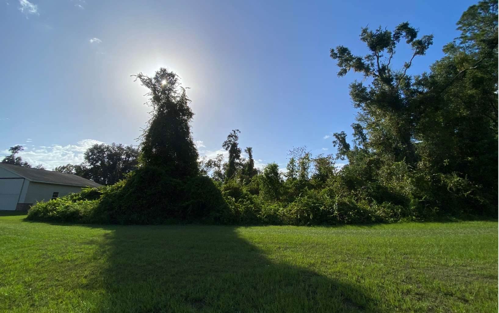 TBD Lot 18 Sisters Welcome, Lake City, FL 32025
