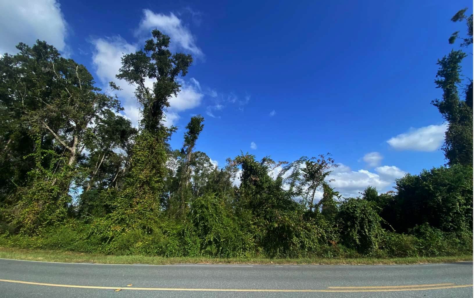 TBD Lot 18 Sisters Welcome, Lake City, FL 32025