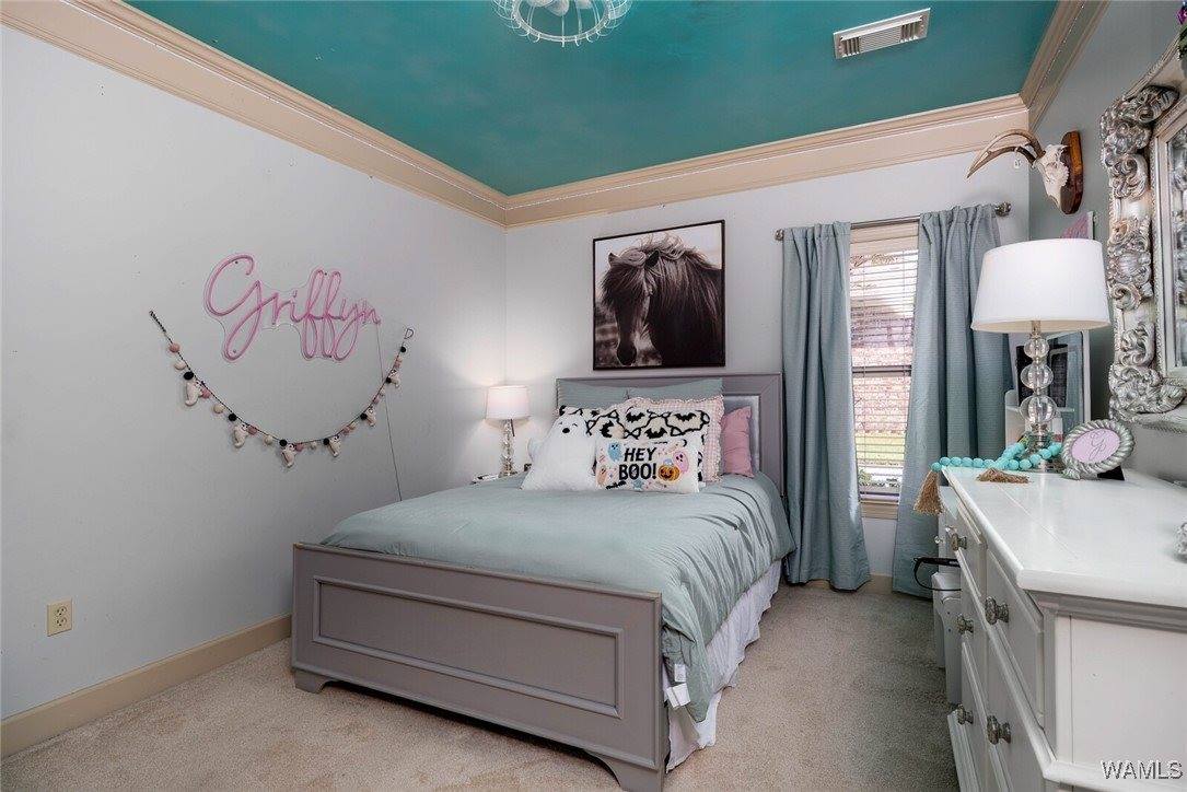 11567 River Point Way, Tuscaloosa, AL 35405