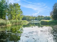 12855 W Albain Road, Petersburg, MI 49270