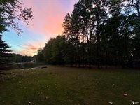 12855 W Albain Road, Petersburg, MI 49270